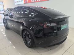 Tesla Model Y Performance All-Wheel Drive - фото 6