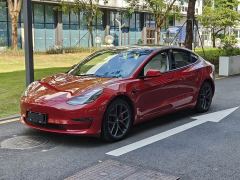 Tesla Model 3 Performance All-Wheel Drive - ფოტო 1