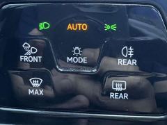 Volkswagen Golf 280TSI DSG 30th Anniversary Edition - фото 16