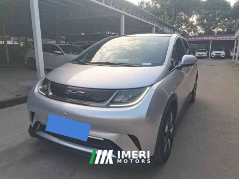 2023 BYD Dolphin 401km Knight Edition