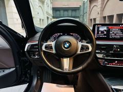 BMW 5 Series Facelift 530Li M Sport Luxury - ფოტო 8