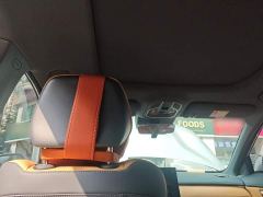 Geely Galaxy Starship 7 120km Explorer Edition - photo 14