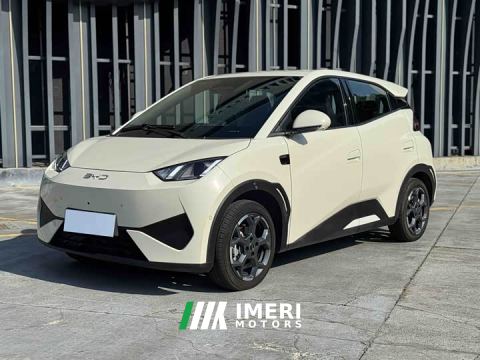 2025 BYD Seagull Smart Driving Edition 305km Freedom Edition - ავტომობილი ჩინეთიდან