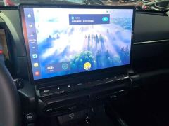 Haval Big Dog PLUS 2.0T Two-Wheel Drive Trendy Wilderness Edition Plus - фото 12