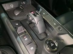 Haval Big Dog PLUS 2.0T Two-Wheel Drive Trendy Wilderness Edition Plus - фото 13