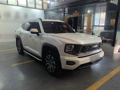 Haval Big Dog PLUS 2.0T Two-Wheel Drive Trendy Wilderness Edition Plus - фото 3