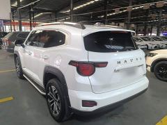 Haval Big Dog PLUS 2.0T Two-Wheel Drive Trendy Wilderness Edition Plus - фото 4