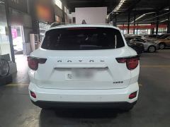 Haval Big Dog PLUS 2.0T Two-Wheel Drive Trendy Wilderness Edition Plus - фото 5