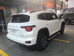 Haval Big Dog PLUS 2.0T Two-Wheel Drive Trendy Wilderness Edition Plus - фото 6