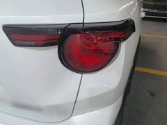Haval Big Dog PLUS 2.0T Two-Wheel Drive Trendy Wilderness Edition Plus - фото 7