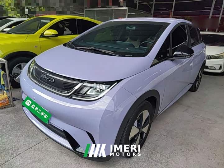 BYD Dolphin 420km Freedom Edition