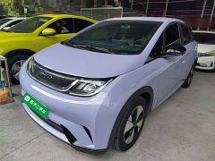 BYD Dolphin 420km Freedom Edition - photo 1