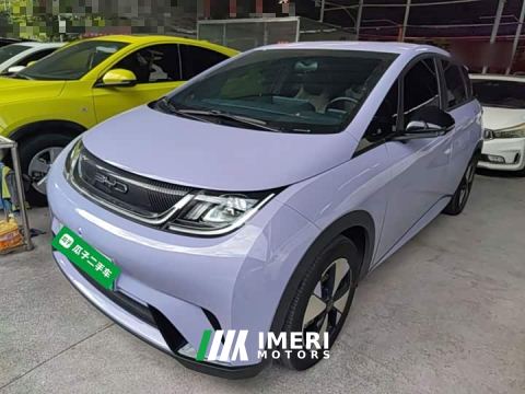 2023 BYD Dolphin 420km Freedom Edition - ავტომობილი ჩინეთიდან