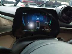 BYD Dolphin 420km Freedom Edition - photo 11