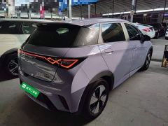 BYD Dolphin 420km Freedom Edition - photo 6