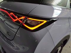 BYD Dolphin 420km Freedom Edition - photo 7