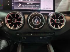 Tank 300 Off-Road Edition 2.0T Conqueror - ფოტო 13