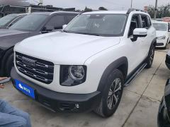 Great Wall Dachshund 1.5T DCT Two-Wheel Drive Labrador Edition - photo 1
