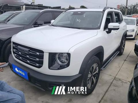 2021 Great Wall Dachshund 1.5T DCT Two-Wheel Drive Labrador Edition - ავტომობილი ჩინეთიდან