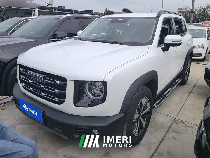 Great Wall Dachshund 1.5T DCT Two-Wheel Drive Labrador Edition