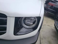 Great Wall Dachshund 1.5T DCT Two-Wheel Drive Labrador Edition - photo 5