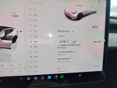 Tesla Model Y Rear-Wheel Drive - фото 11