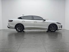 Volkswagen Lingdu L 300TSI Lingfeng Edition - ფოტო 11