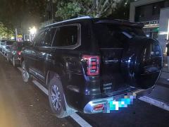 Beijing Jeep BJ60 2.0T Eleventh Edition Five-Seater - ფოტო 5