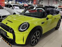 BMW MINI 2.0T COOPER S CABRIO Artist - photo 4
