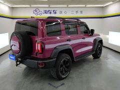 Tank 300 Off-Road Edition 2.0T Conqueror - ფოტო 3