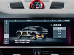 Porsche Cayenne Coupe 3.0T - ფოტო 14
