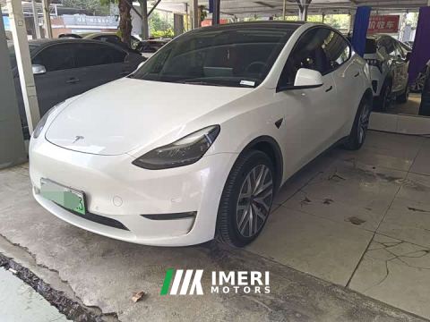 2021 Tesla Model Y Standard Range RWD - ავტომობილი ჩინეთიდან