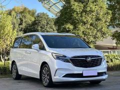 Buick GL8 ES Land Respect 653T Luxury - фото 3