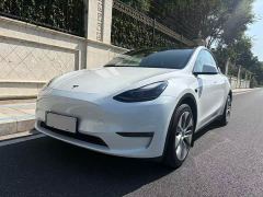 Tesla Model Y Standard Range RWD - ფოტო 1