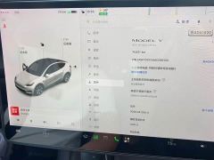 Tesla Model Y Standard Range RWD - ფოტო 11