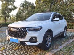 Haval H6 Third Generation 1.5T Automatic Two-Wheel Drive Pro - photo 1