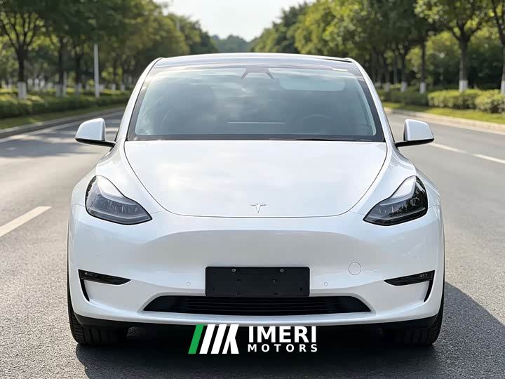 Tesla Model Y Long Range All-Wheel Drive - car from China