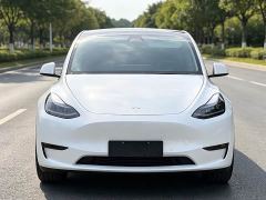Tesla Model Y Long Range All-Wheel Drive - photo 1