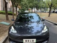 Tesla Model 3 Performance All-Wheel Drive 3D6 - ფოტო 2