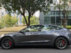 Tesla Model 3 Performance All-Wheel Drive 3D6 - ფოტო 7
