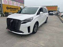 Buick GL8 ES Luxe Enjoyment Edition - ფოტო 1