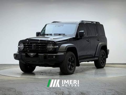 2021 Tank 300 Off-Road Edition 2.0T Challenger - ავტომობილი ჩინეთიდან