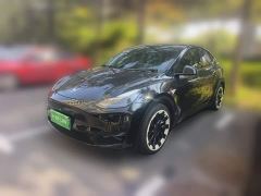 Tesla Model Y Standard Range RWD - ფოტო 1