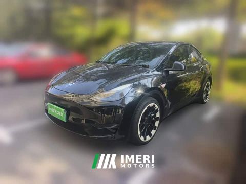 2021 Tesla Model Y Standard Range RWD