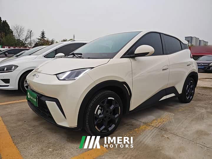 BYD Seagull 305km Freedom Edition - ავტომობილი ჩინეთიდან