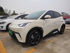 BYD Seagull 305km Freedom Edition - ფოტო 1