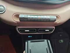 BYD Seagull 305km Freedom Edition - ფოტო 13