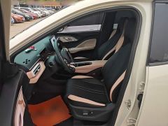 BYD Seagull 305km Freedom Edition - ფოტო 14
