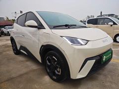 BYD Seagull 305km Freedom Edition - ფოტო 3