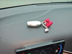 BYD Seagull 305km Freedom Edition - ფოტო 8